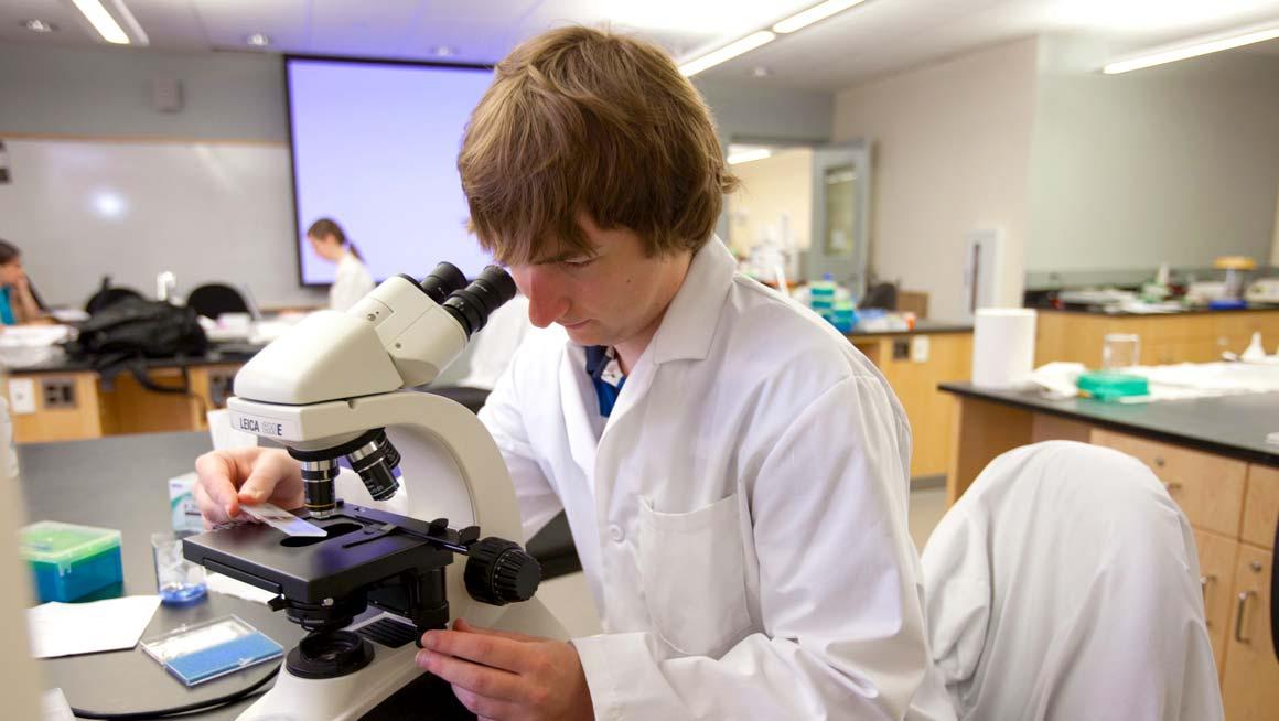 A Bryant student examines slides under a microscope.